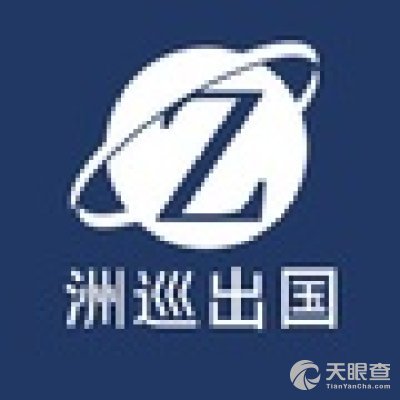上海洲巡因私出入境中介服务 专业化流程与全方位保障